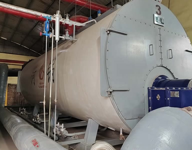 河北久鵬制藥1臺(tái)6噸兩臺(tái)10噸燃?xì)庹羝仩t